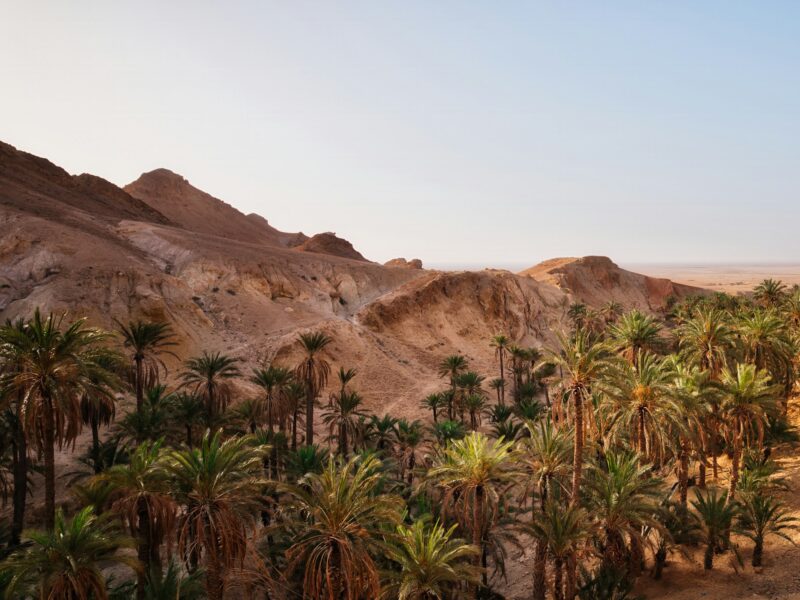 Mountains of Chebika Oasis in Tunisia, Africa