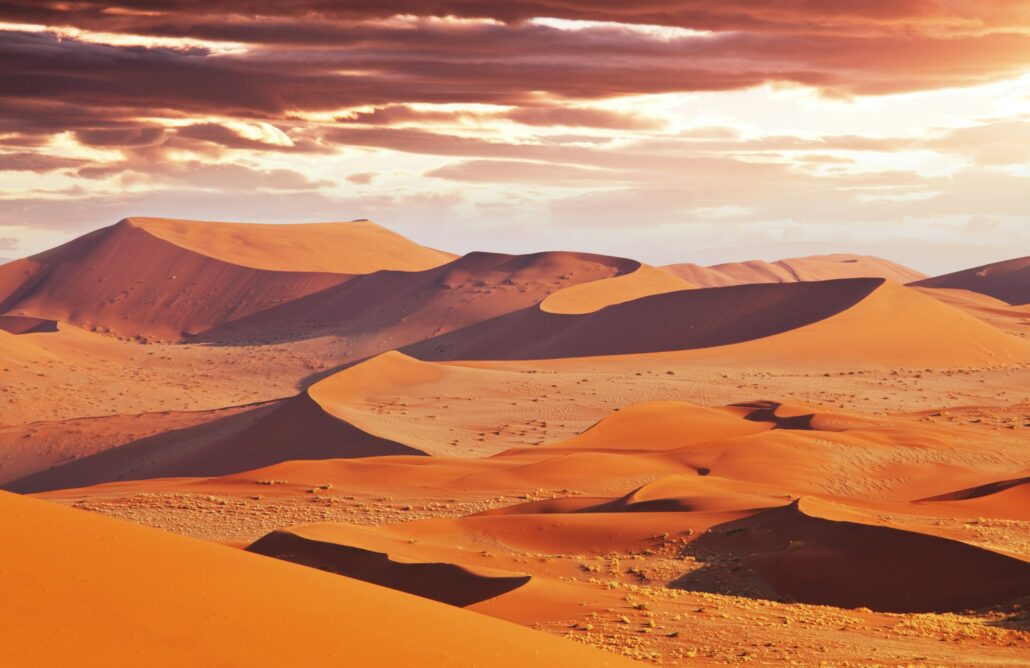 Namib desert