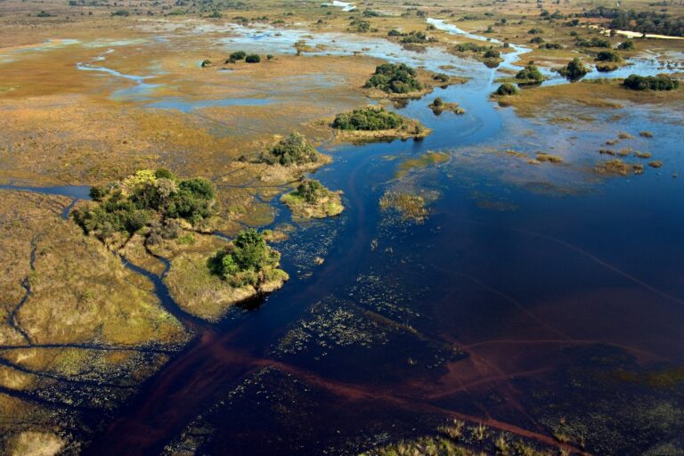 Okavango Delta - Botswana