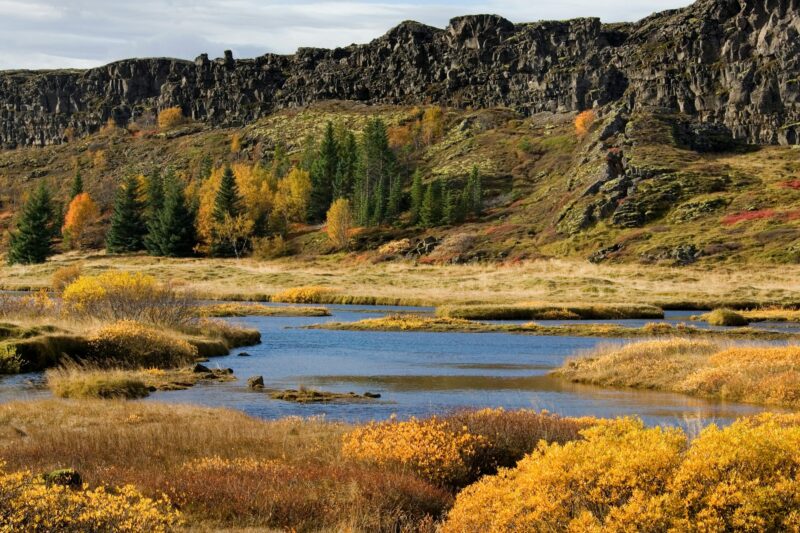 Part of the rift valley at Pingvellir in Iceland