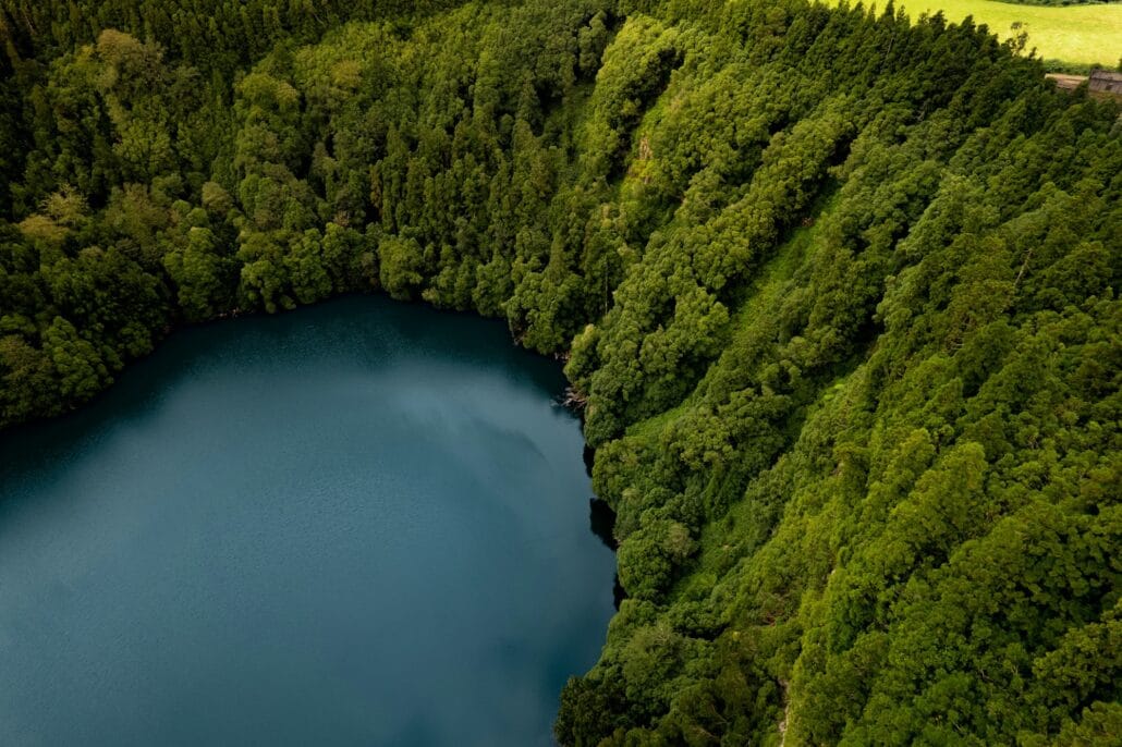 Picturesque lake surrounded by lush green forest in sunlight