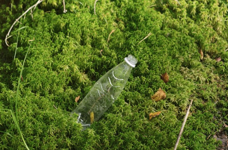 Plastic bottle thrown by a human in the forest lies in the moss.