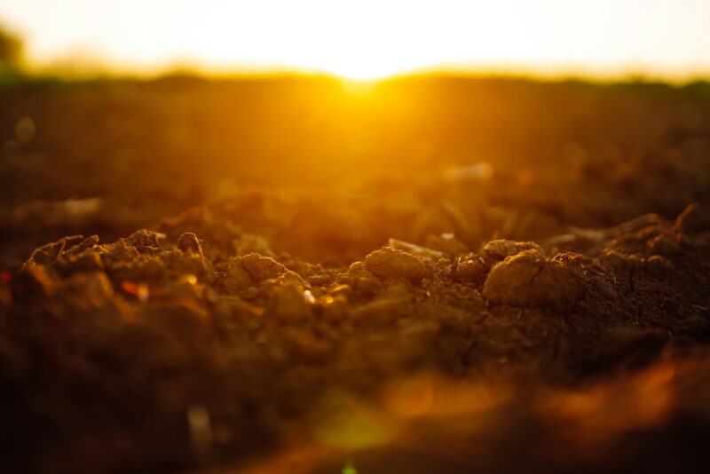 Plowed field at sunset. Agriculture, soil before sowing. Fertile land texture, rural field landscape