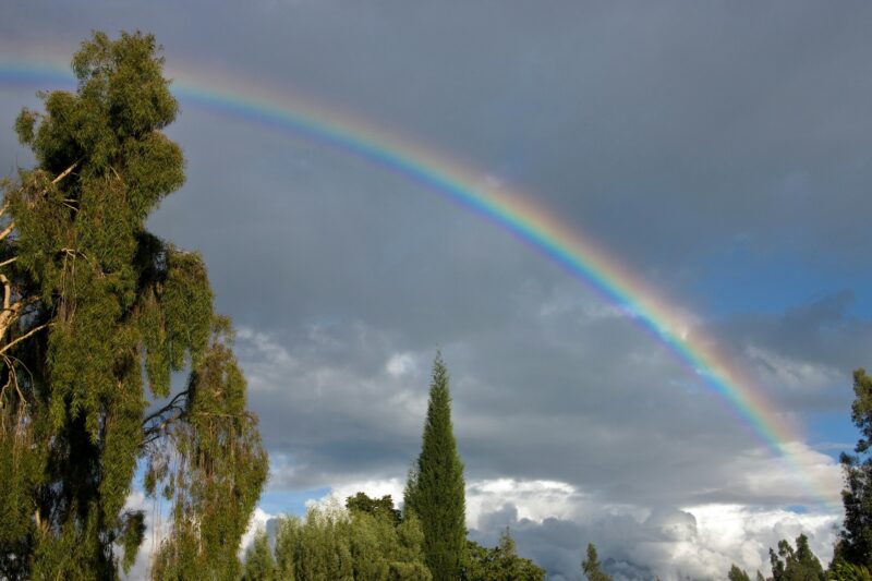 Rainbow - Meteorological Phenomenon - Spectrum