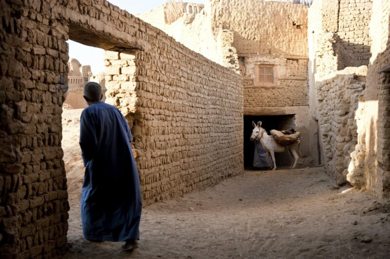 Rear view of man wearing caftan walking through wall doorway, donkey in background.
