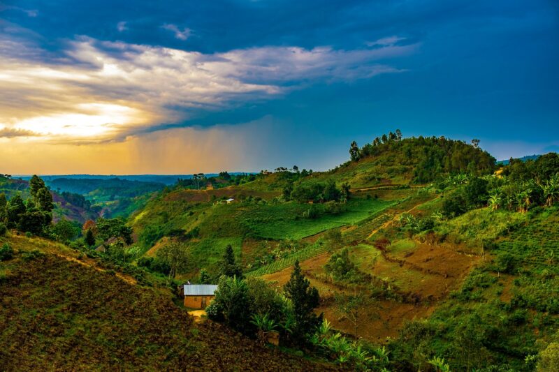 Rolling hills of Rwanda and Uganda