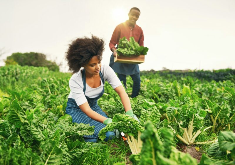 Shot of an attractive young female farmer working the fields with her husband in the background