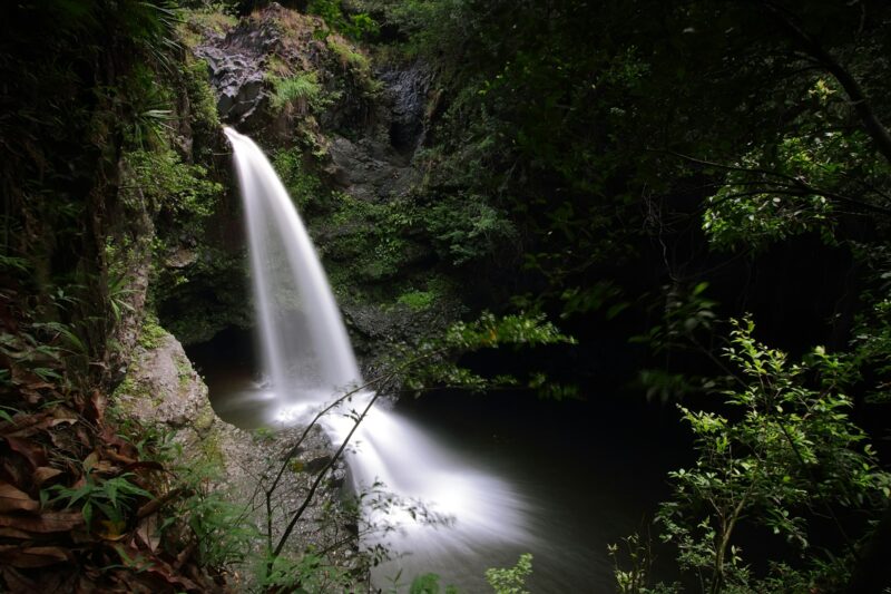 Small falls in Waimoku falls trail