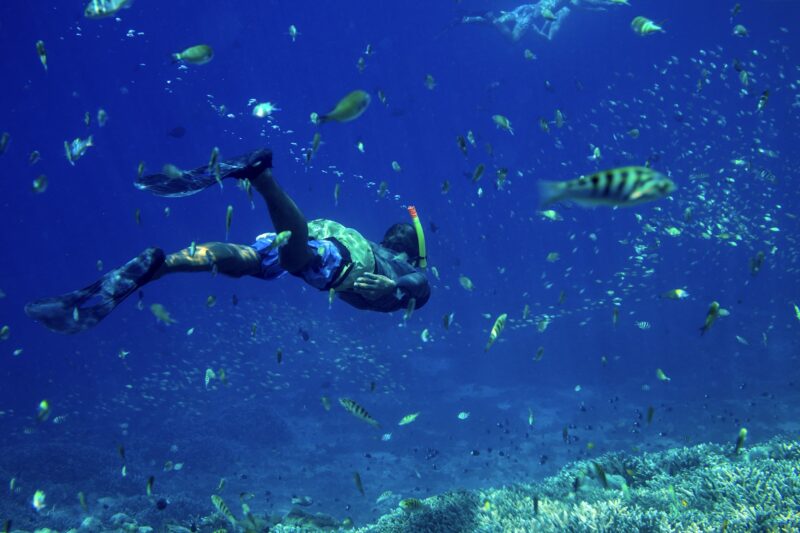 Snorkeling in the Tropical Water