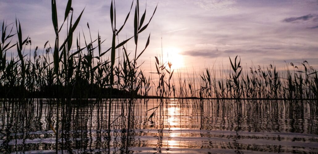 Stunning picturesque landscape of a summer lake