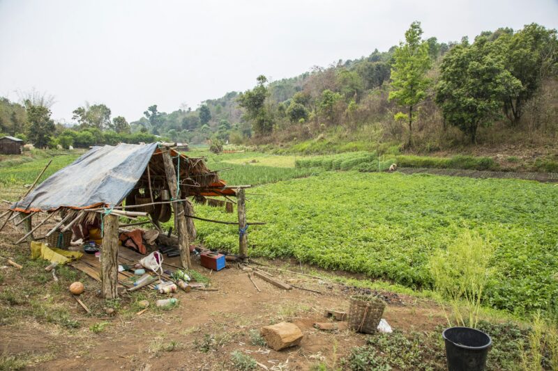 The crops of local people in Pyin Oo Lwin