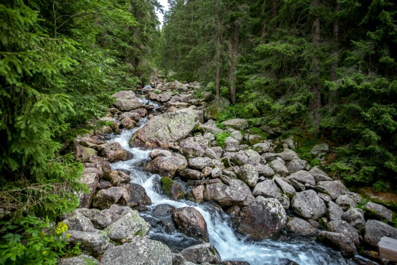 The lonely creek between the boulders. The Tatras