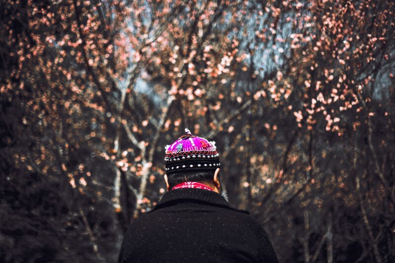 The man wearing tribal dress in front of cherry blossom, Asian tribe in Asia from Thailand