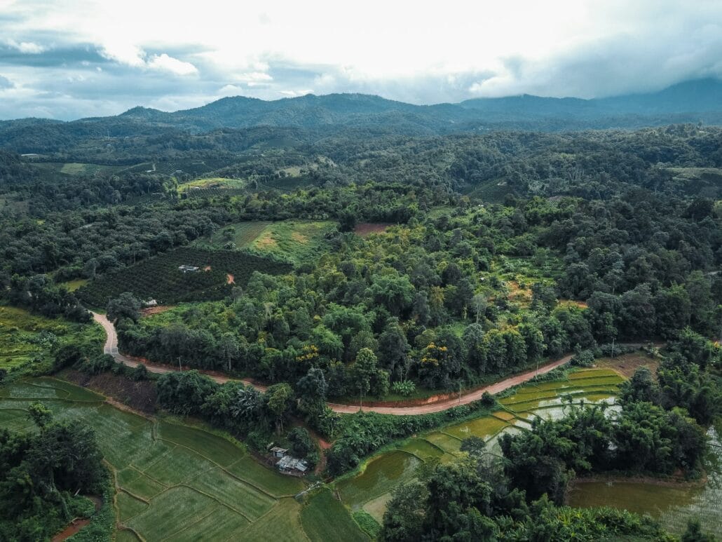 The road to the farmland and fields in the green forest.
