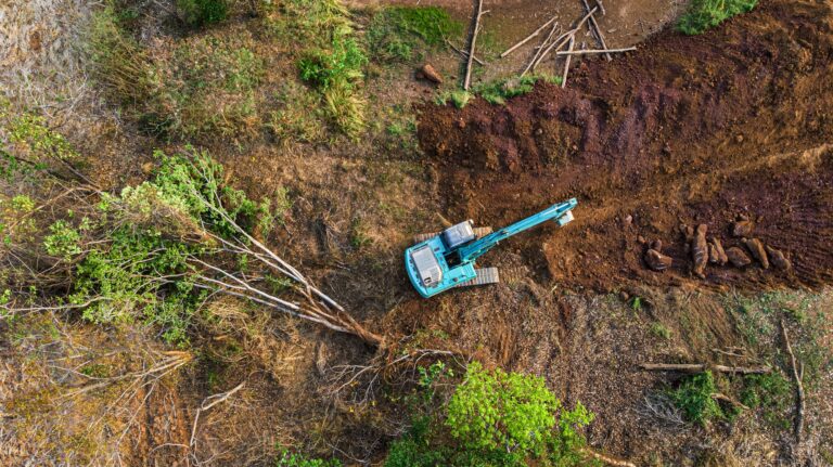 The top view of the deforestation.