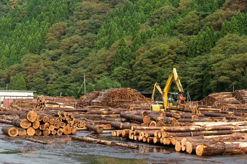 Timber industry