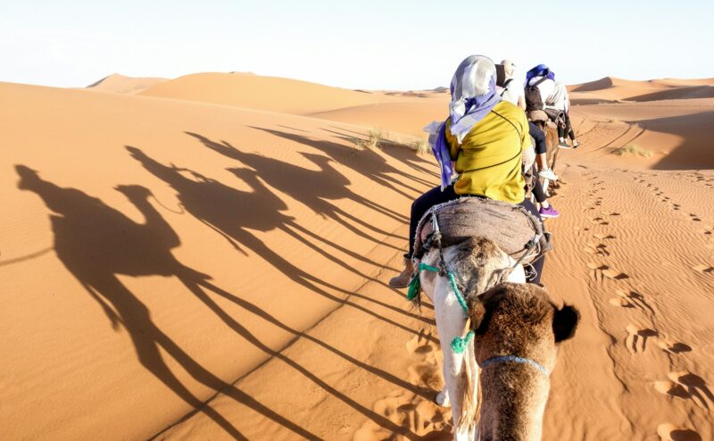 Tourists caravan riding dromedaries through sand dunes in Sahara desert