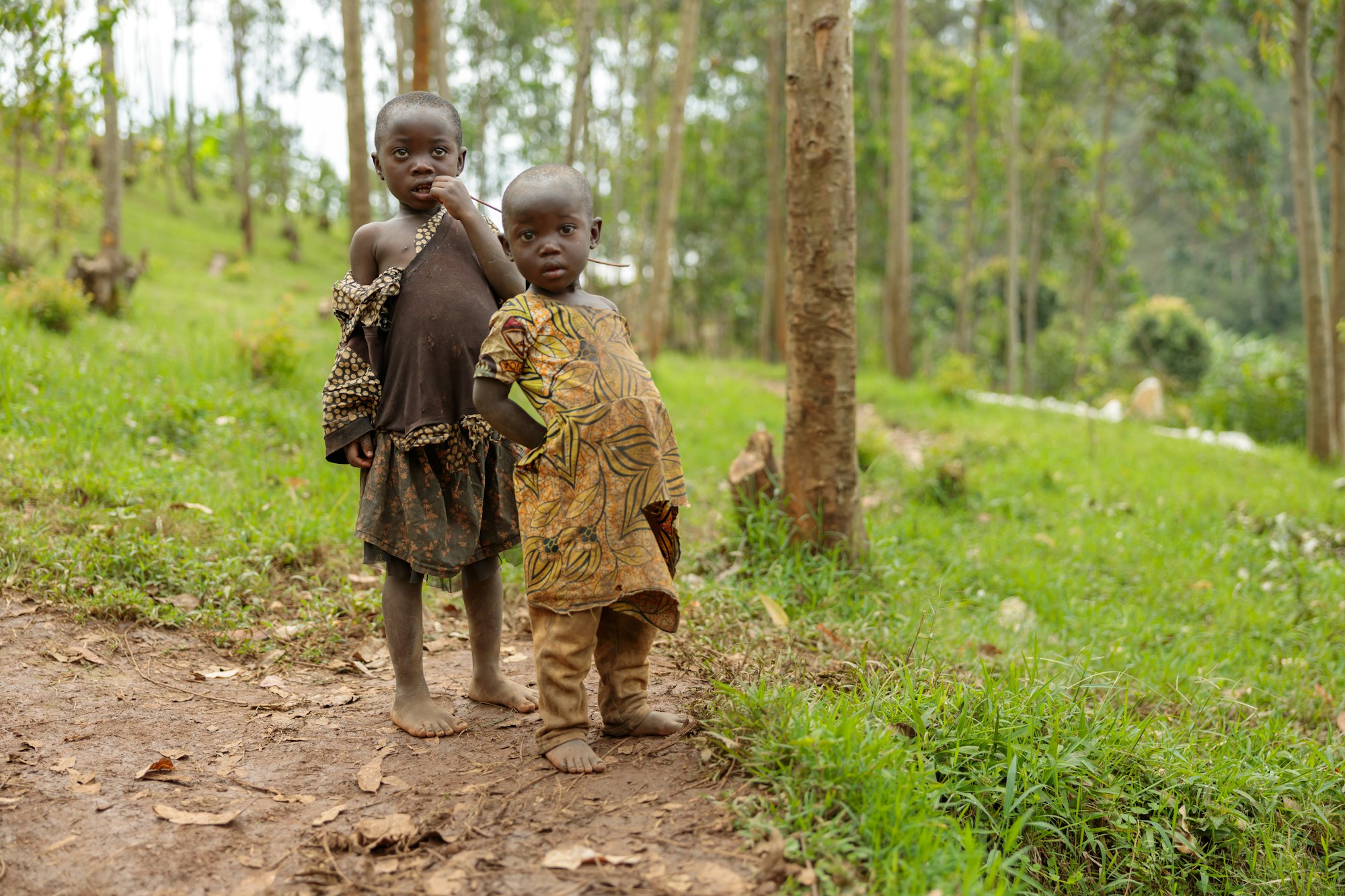 Two African children standing in the forest