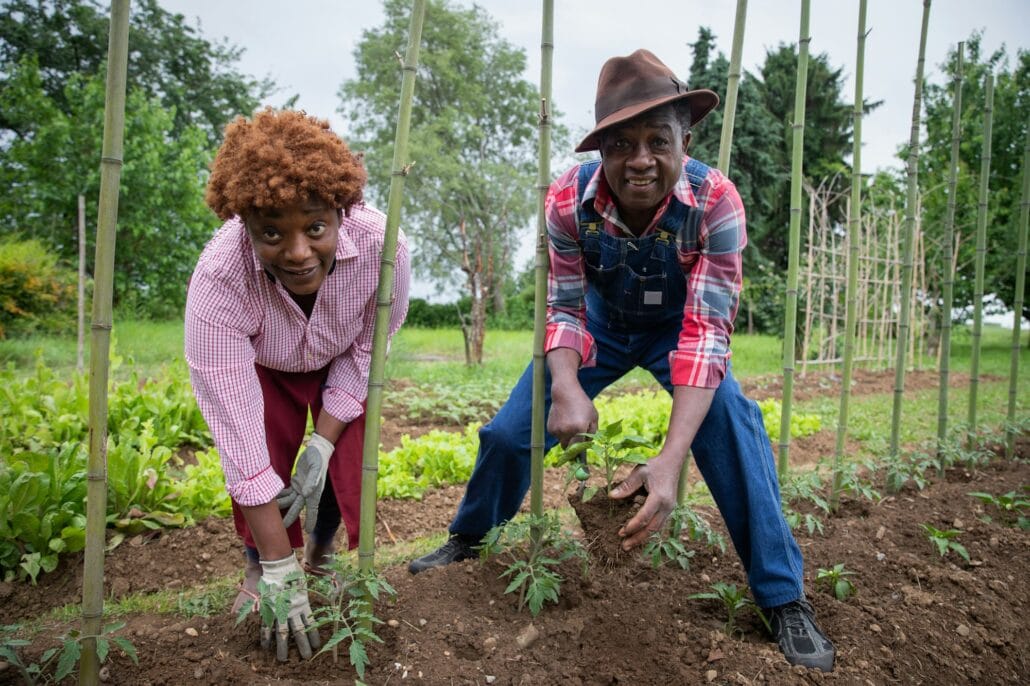 Two farmers work the land and plant some plants, agricultural activity in the fields.