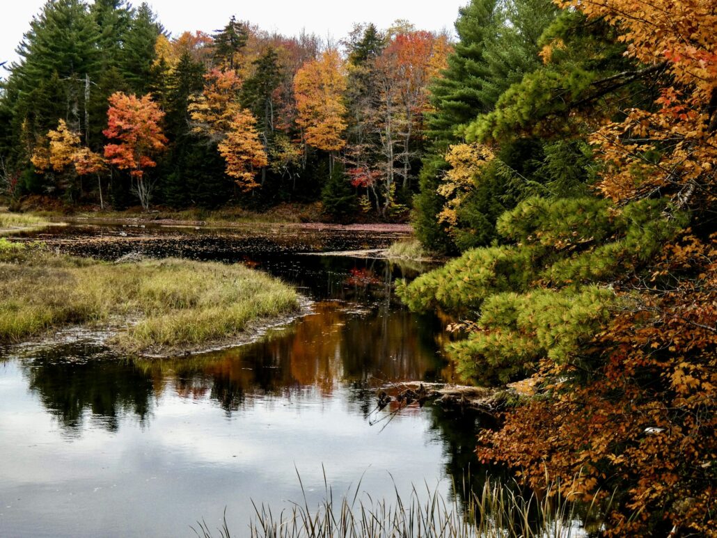 Waterway