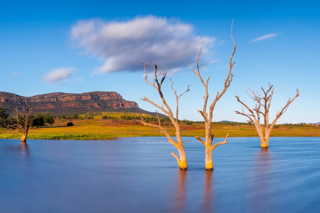Wet Season