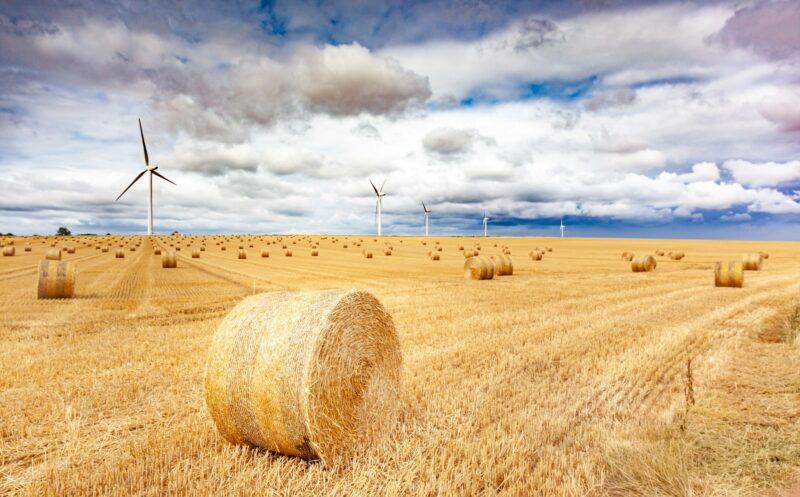 Windmill turbines in a agricultural landscape with fields and meadows.