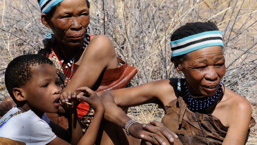 botswana, bushman, group