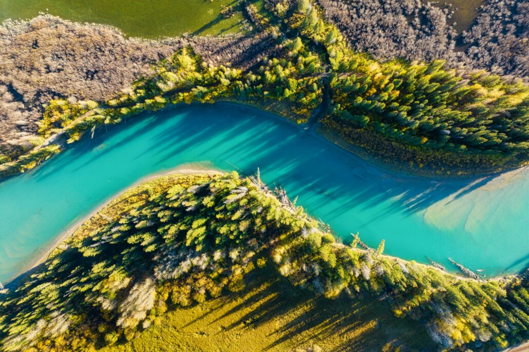 A drone view of the river in the woods. An aerial view of an autumn forest.
