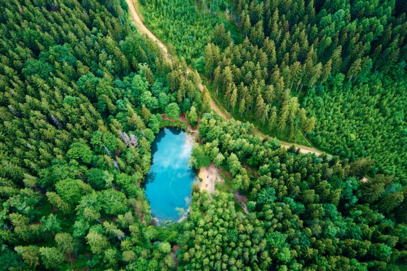 Aerial view of blue colored forest lake in Poland