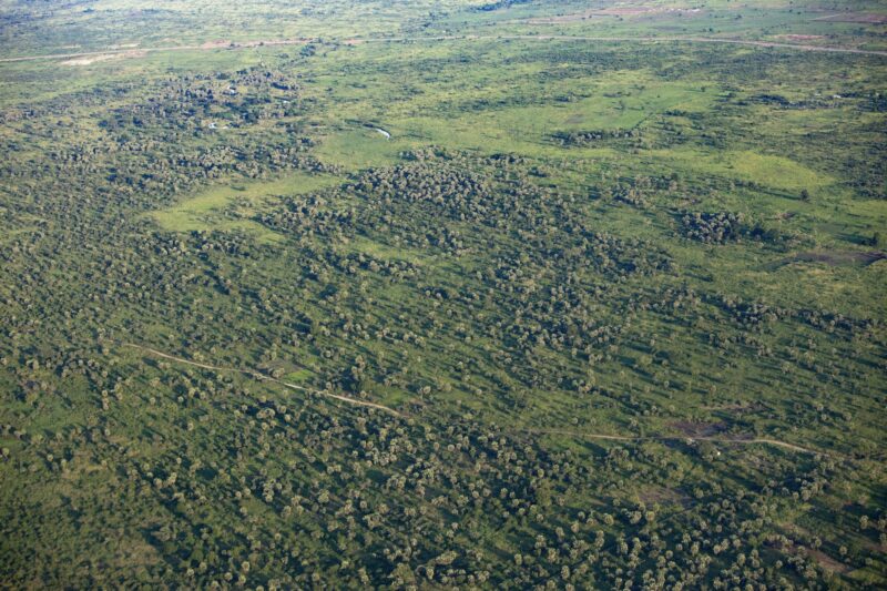 Aerial view of the tropical landscape of South Sudan.