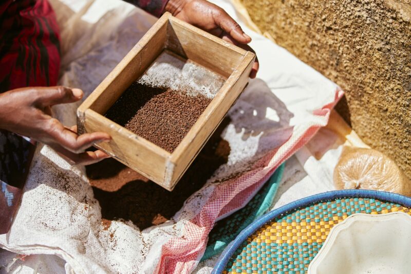 African traditional coffee roasting process by local tribes in mountain regions