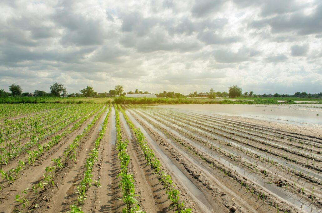 Agricultural land affected by flooding