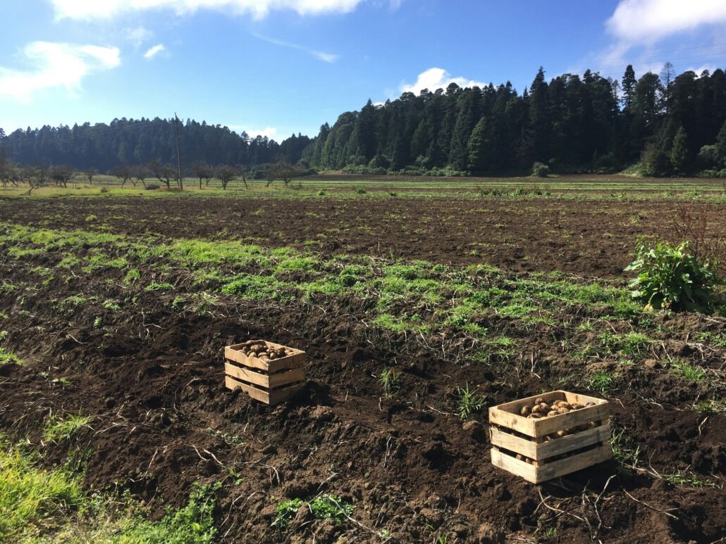 Agriculture