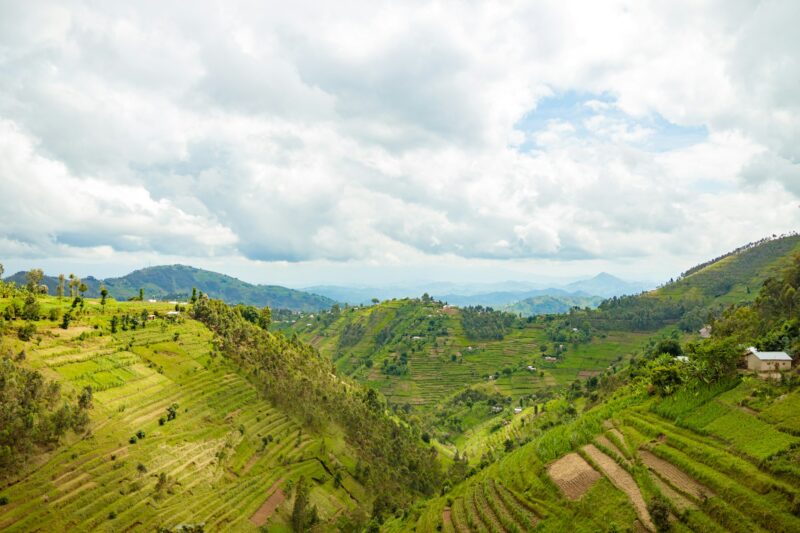Beautiful rural landscape with agricultures terraces, Rwanda