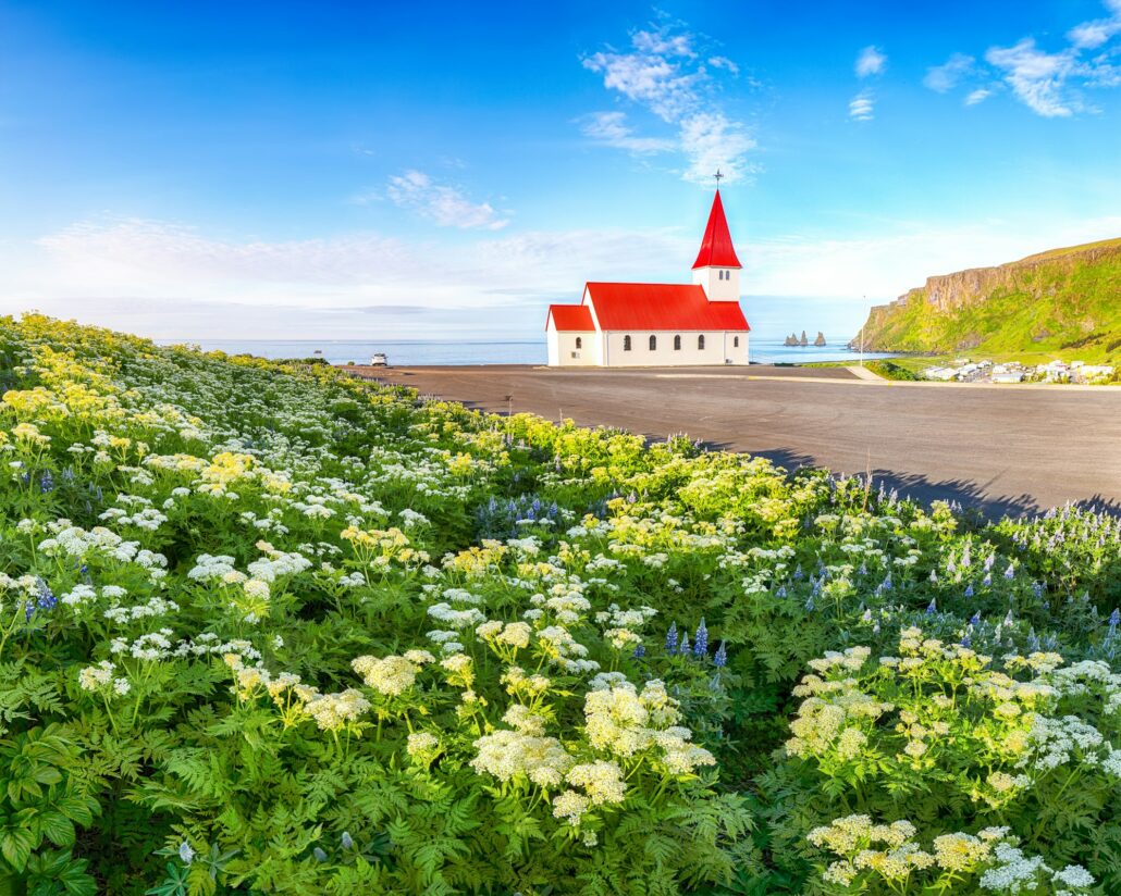 Breathtaking view of Vikurkirkja christian church in blooming flowers.