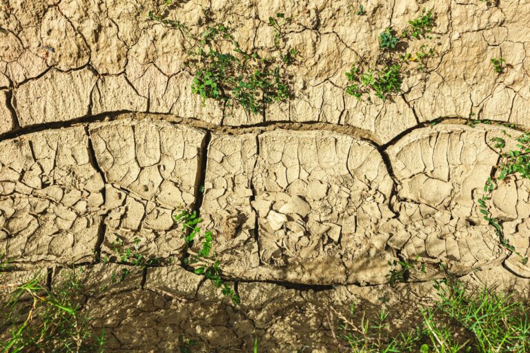 Closeup of dried crack mud representing global warming and climate change.