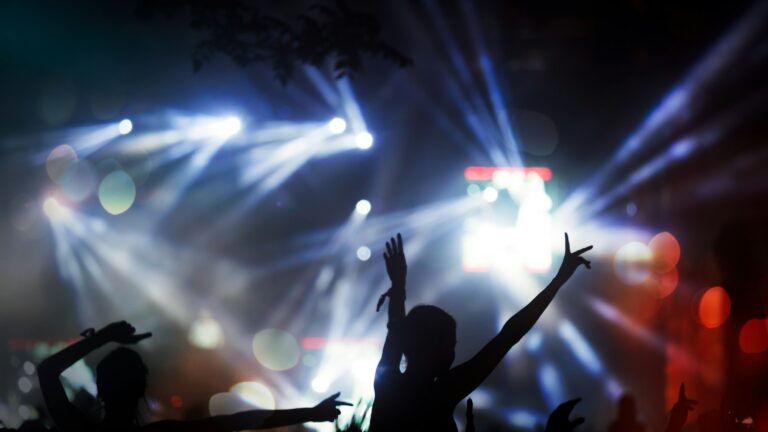 Crowd enjoying concert at festival