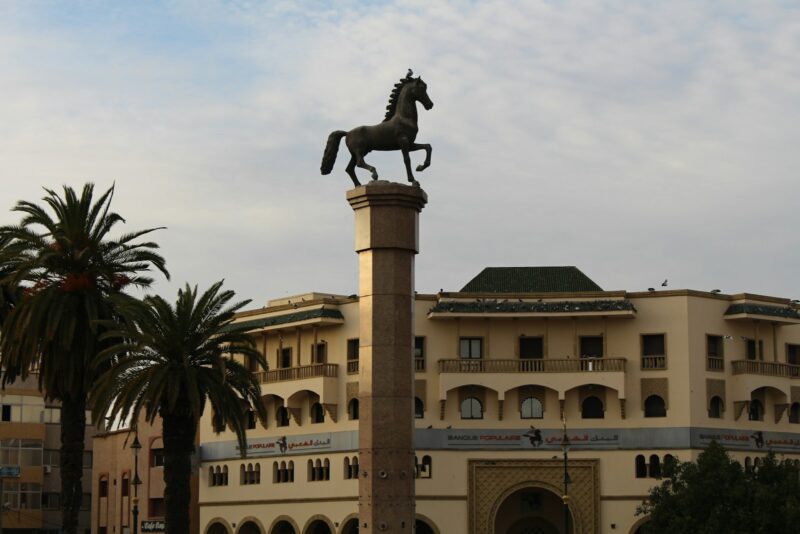 a statue of a horse on top of a building