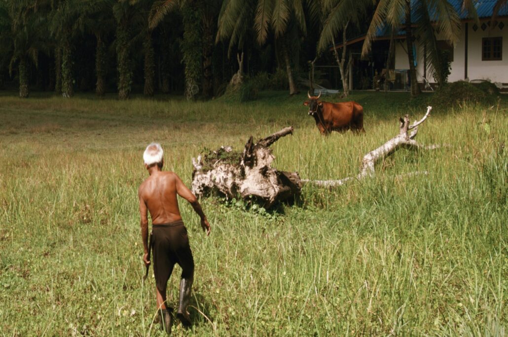 Farm life