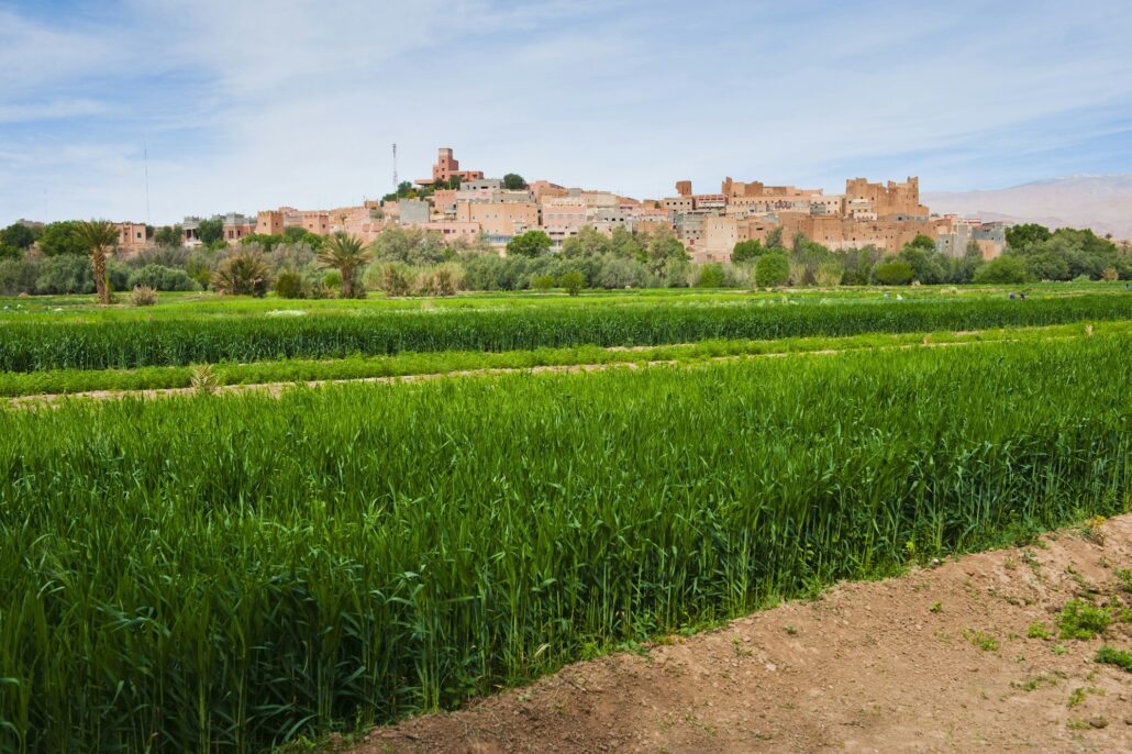 Farmland and a typical Moroccan village in the Dades Valley, Morocco, North Africa, Africa