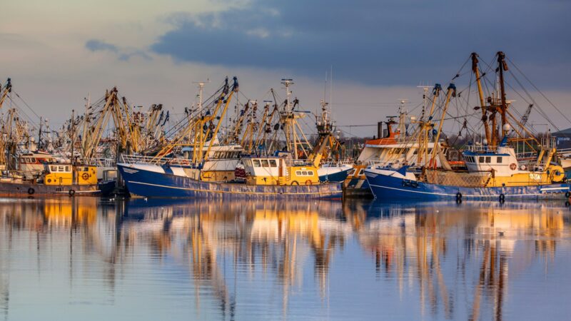 Fishery in Lauwersoog harbor