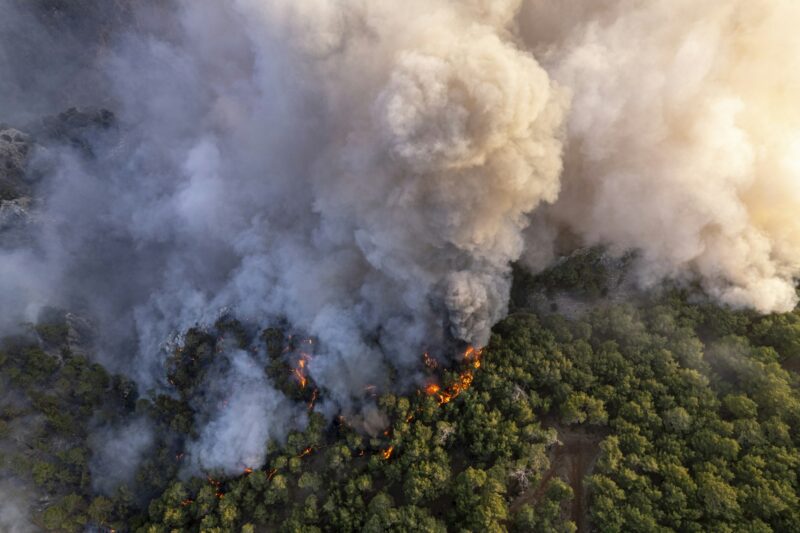 Forest Fires, Natural Disaster