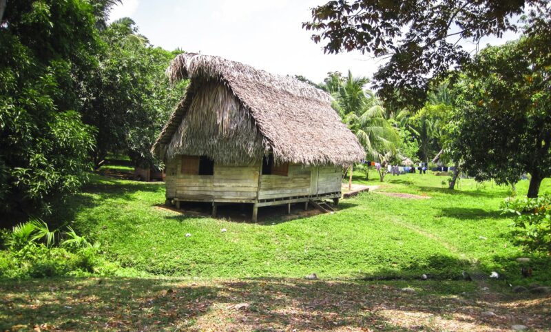 Indigenous House With a Thatch Roof in Belize