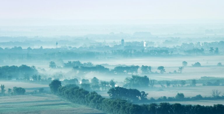 Landscape of fields and trees among