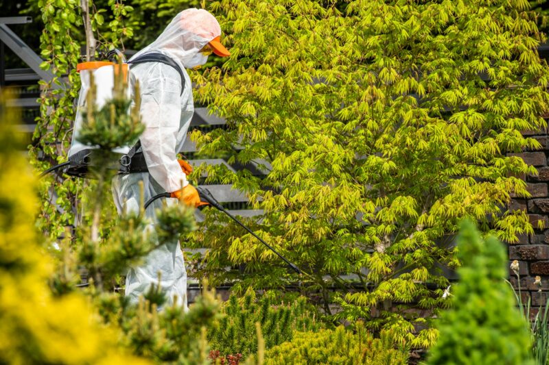 Man in Protective Suit Spraying Pesticide on Tree