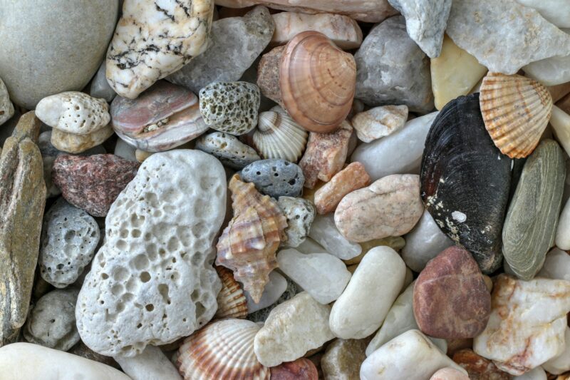 Minerals and shells