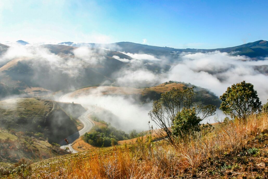 Misty landscape south africa