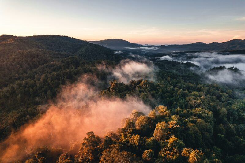 Mountains and trees at a rural village,in the morning