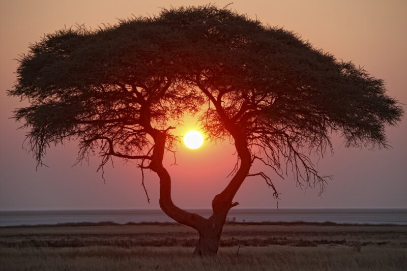Namibia, Etosha National Park, sunset