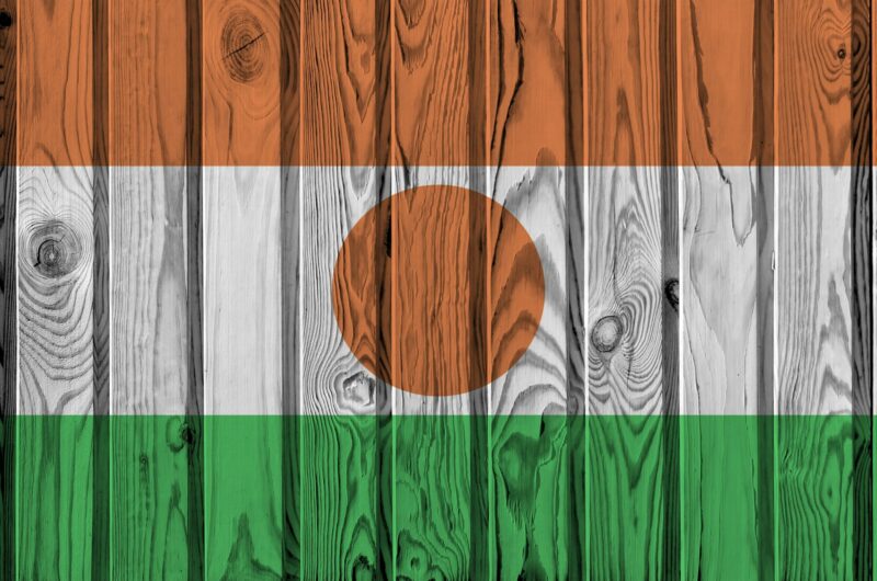 Niger flag depicted in bright paint colors on old wooden wall close up